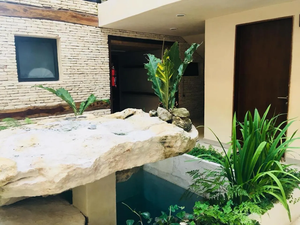 פלאייה דל כרמן Downtown & Cozy Studios Polo 15 דירה פלאייה דל כרמן